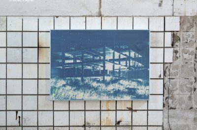 Bones and Concrete — Transfer