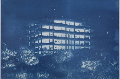 Bones and Concrete — Transfer