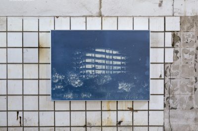 Bones and Concrete — Transfer