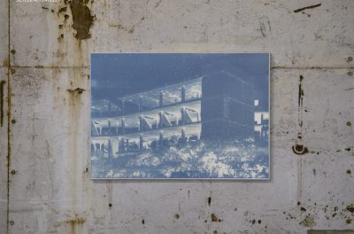 Bones and Concrete — Transfer