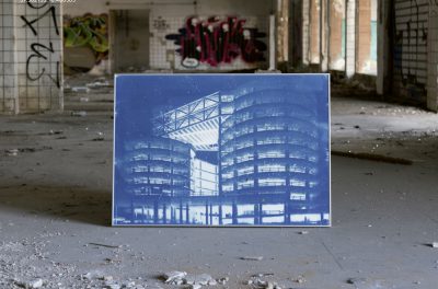 Bones and Concrete — Transfer