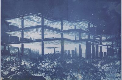 Bones and Concrete — Transfer