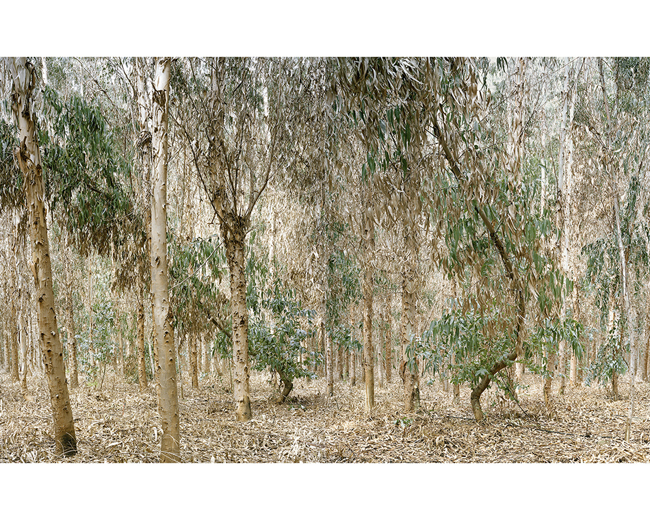 Copper Geographies — Transfer