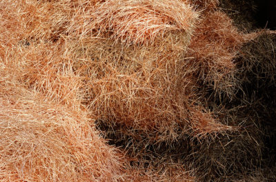 Copper Geographies — Transfer