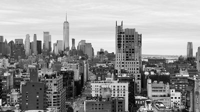 TRANSFER NEXT Susan Horowitz