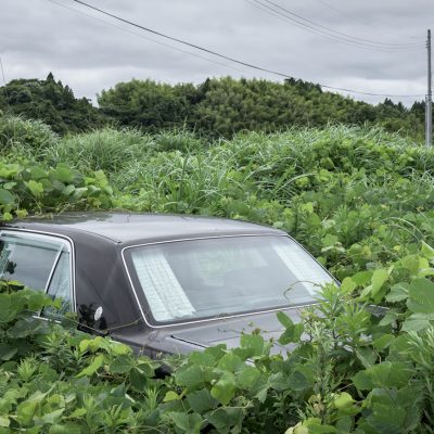 Fukushima Ayesta Bression